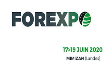 Salon forexpo 2020