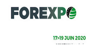 Salon forexpo 2020