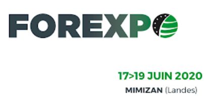 3489386016_13_forexpo-2020.png